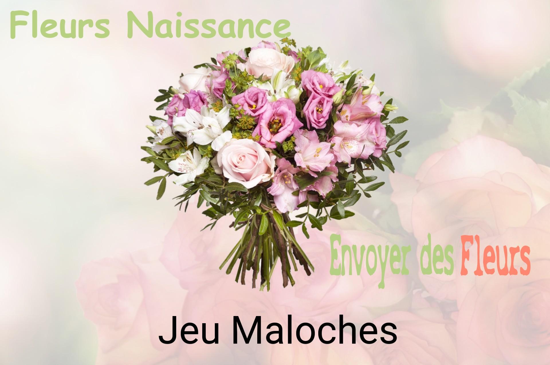 Bouquet de fleurs de naissance livré à Jeu-Maloches